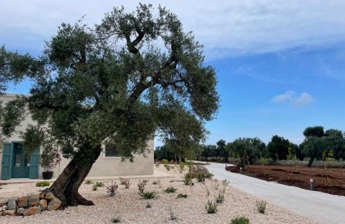 Ostuni Villa | Nido Maremonte