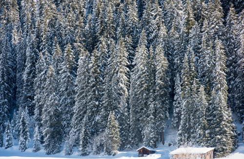 Lech am Arlberg Apartamento | Nidus Luxury Apartments