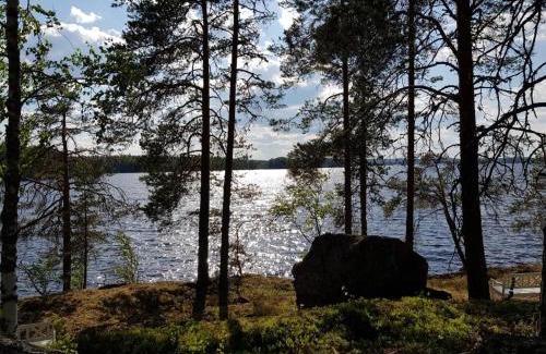 Leppavirta Complejo | Niemilomat
