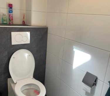 Buitenpost Apartamento | Nieuw gebouwd appartement op paarden bedrijf