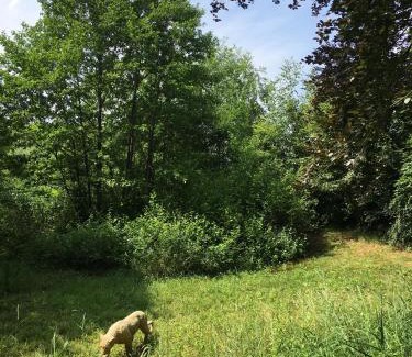 Diepenheim Apartamento | Nieuw Kagelink