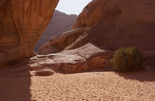 Wadi Rum Alquiler De RV | Nights Dreams Camp & tours
