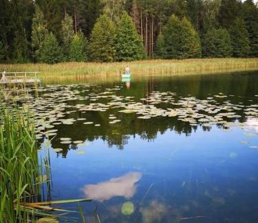 Aukstadvaris Casa | Nijolės sodyba