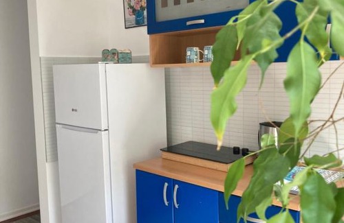 Zvezdara Apartamento | NIKA