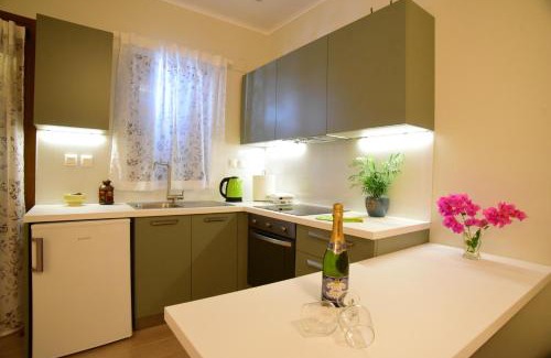 Vlachopoulatika Apartamento | Nikoletta 5