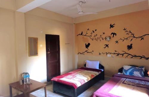 Sauraha Cama Y Desayuno | Nikunj Safari Guest House Sauraha- A place where you can book jungle wildlife Safari