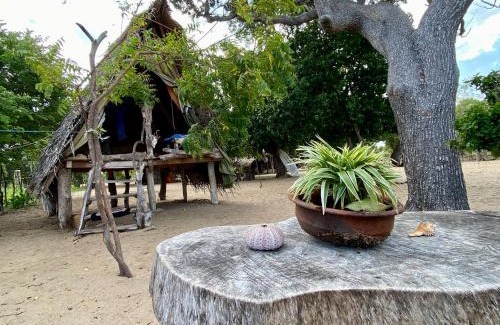 Lahugala Hotel | Nilana beach cabana