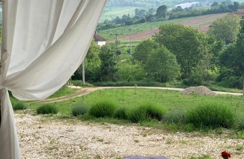 Arandelovac Casa | Nina