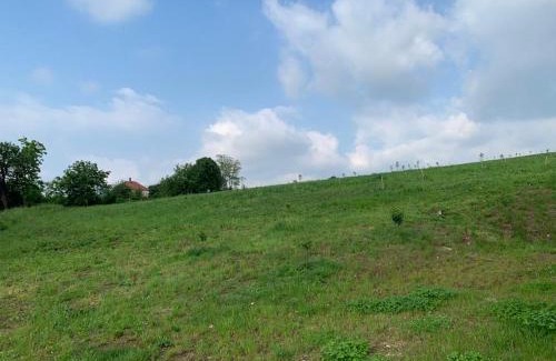 Arandelovac Casa | Nina