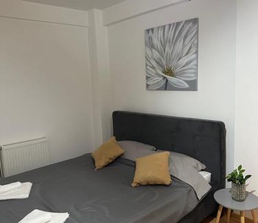 City Center Apartamento | Nis Apartment