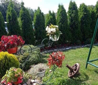 Zlatibor Apartamento | Njih tri Jelova gora