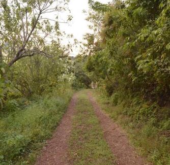 Tepoztlan Apartamento | No reservar