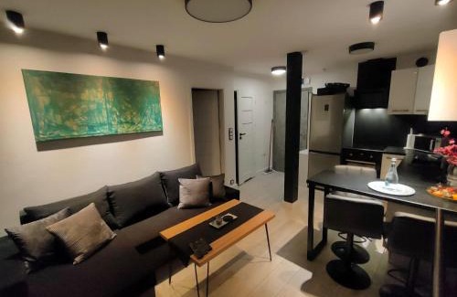 Glogow Apartamento | No71 The Luxury Apartment