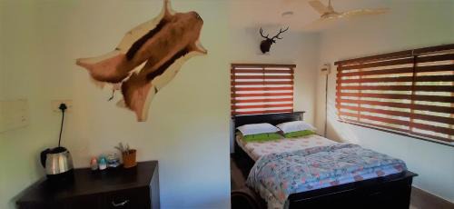 Pirmed Casa | Noah's Nest Tree House