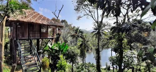 Pirmed Casa | Noah's Nest Tree House