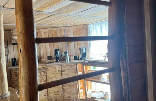 Kutno Apartamento | NOCLEG W KORONACH DRZEW