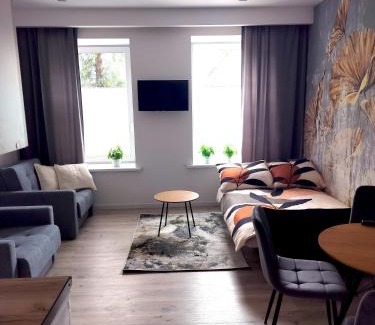 Pabianice Apartamento | Noclegi Duet House Green Harmony Studio wejście na kod CENTRUM Ptak, Orientarium, Mandoria, Fala, Centrum Zdrowia Matki Polki, bezpłatny parking, klimatyzacja