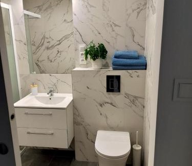 Pabianice Apartamento | Noclegi Duet House Green Harmony Studio wejście na kod CENTRUM Ptak, Orientarium, Mandoria, Fala, Centrum Zdrowia Matki Polki, bezpłatny parking, klimatyzacja