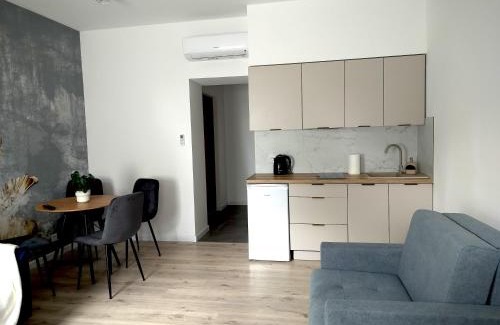 Pabianice Apartamento | Noclegi Duet House Green Harmony Studio wejście na kod CENTRUM Ptak, Orientarium, Mandoria, Fala, Centrum Zdrowia Matki Polki, bezpłatny parking, klimatyzacja