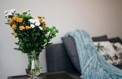 Kalisz Apartamento | Nocosfera Apartament Serbinów