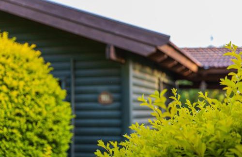 Gonen Complejo | Nofey Gonen Holiday Village