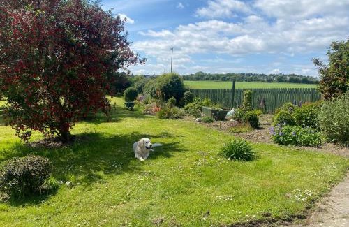 Duncannon Casa | Nolans organic farm