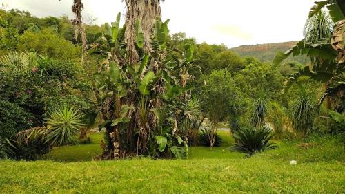 Schoemanskloof Apartamento | Nomads Rest