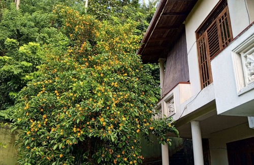 Kaduruduwa Villa | One-Bedroom Apartment