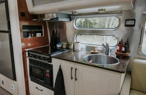 Flag Pond Casa | Norah’s Jungalow Unit 8- Not Pet Friendly - Glamping Retro