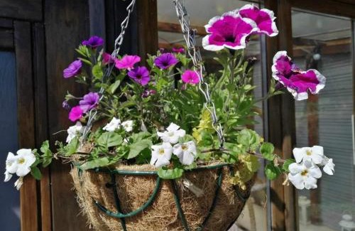 Souleuvre en Bocage Casa | NormanD Holiday Home - VIRE CALVADOS Relaxing Rural Retreat