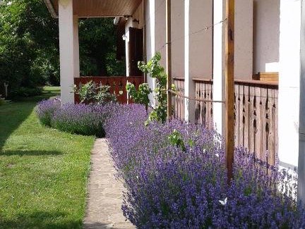 Mezokovesd Casa | Nosztalgia Vendégház
