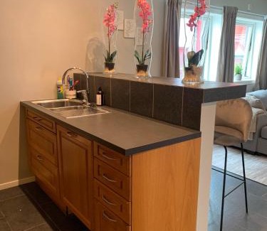 Notodden Apartamento | Notodden Sentrum Apartment NO 8