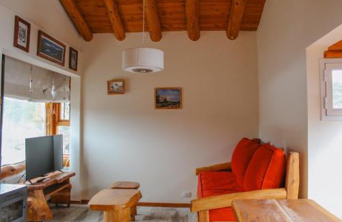 Villa Catedral Apartamento | NOTRO 1 Bandurria en la base del cerro Catedral con vistas