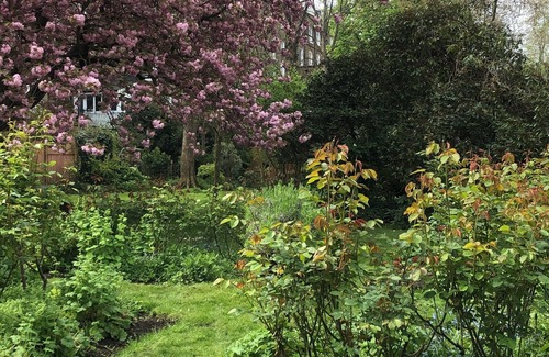 Notting Dale Apartamento | Notting Hill communal garden 2 bed flat