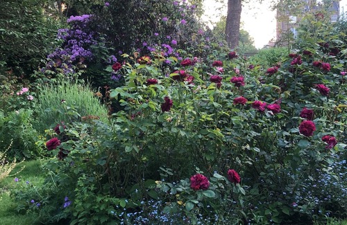 Notting Dale Apartamento | Notting Hill communal garden 2 bed flat