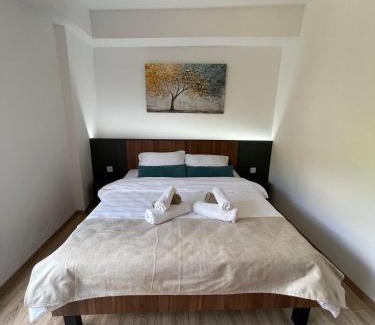 North Macedonia Apartamento | NovAS Apartment