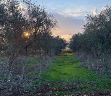 Sede Ilan Apartamento | Novo - Rural Accommodation Unit