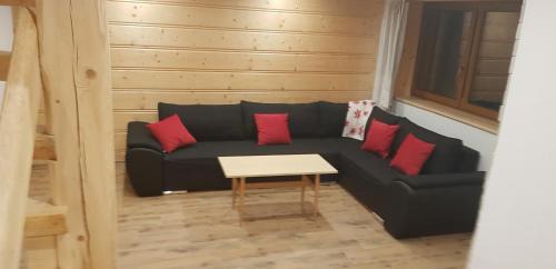 Witow Chalet De Esquí | NowiNowe Domki