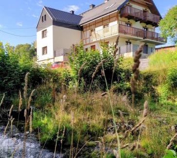 Stronie Slaskie Apartamento | nowy Apartament z tarasem i samodzielnym wejściem - Willa Sowia