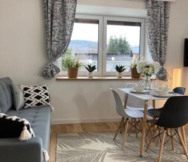 Stronie Slaskie Apartamento | nowy Apartament z tarasem i samodzielnym wejściem - Willa Sowia