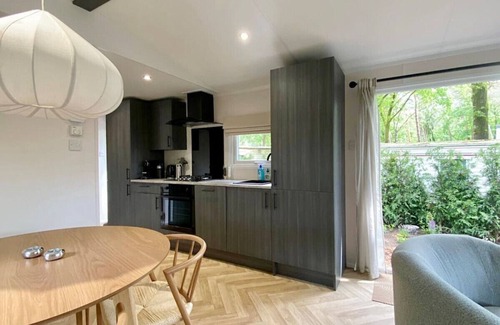 Bosgebied Hoenderloo Casa | Noya Tinyhouse Veluwe Hoenderloo