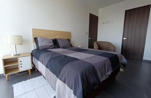 Los Alpes Apartamento | NSI Apartamento Entero - Urbano Town - Sur CDMX