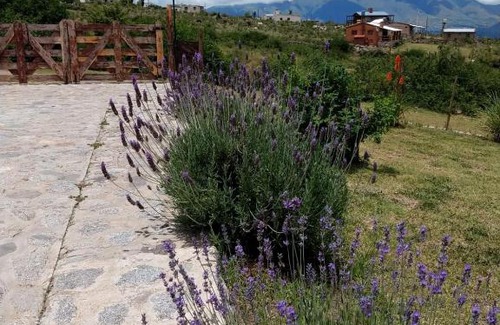 El Mollar Chalet De Esquí | NUESTRO PAISAJE