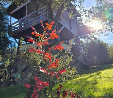 Retuerta del Bullaque Otro | Nuevo Ecolodge Cabañeros