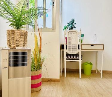 Zamora Apartamento | NUEVO Te enAMORa zAMORa