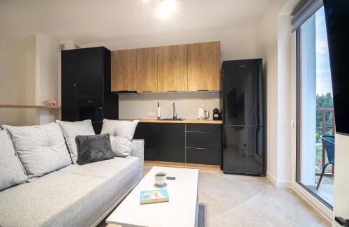Lidzbark Welski Apartamento | NWK Apartments & SPA