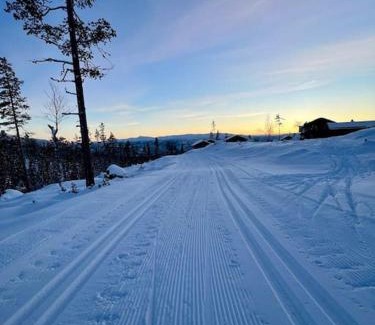 Vikberget Casa | Ny eksklusiv hytte, strøm og jacuzzi inkl i prisen