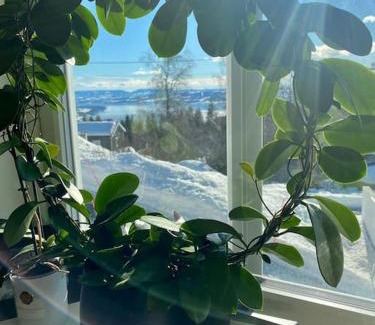 Gjovik Apartamento | NY og moderne studioleilighet med elbil lading