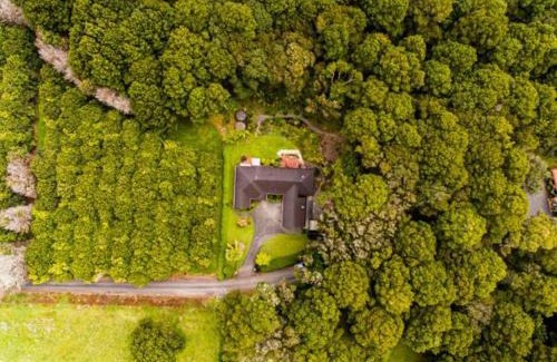 Glenbervie Casa | NZ County Holiday Home