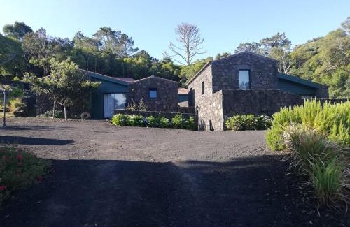 Madalena Casa | O Farrobo